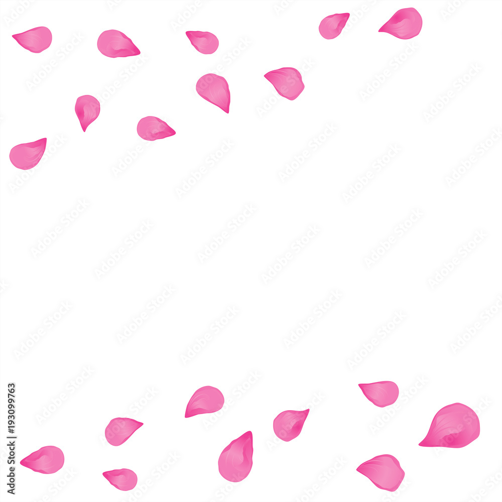 Pink flying petals isolated on White background. Sakura Roses petals. Vector
