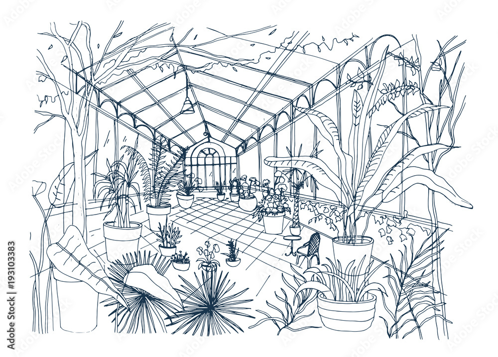 Freehand sketch of interior of tropical botanical garden full of cultivated plants with lush