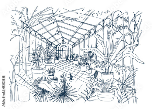 Freehand sketch of interior of tropical botanical garden full of cultivated plants with lush foliage. Rough drawing of orangery with trees growing in pots and panoramic windows. Vector illustration.