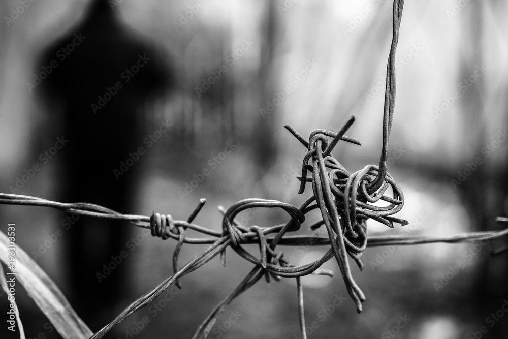 The Prisoner The Prisoner