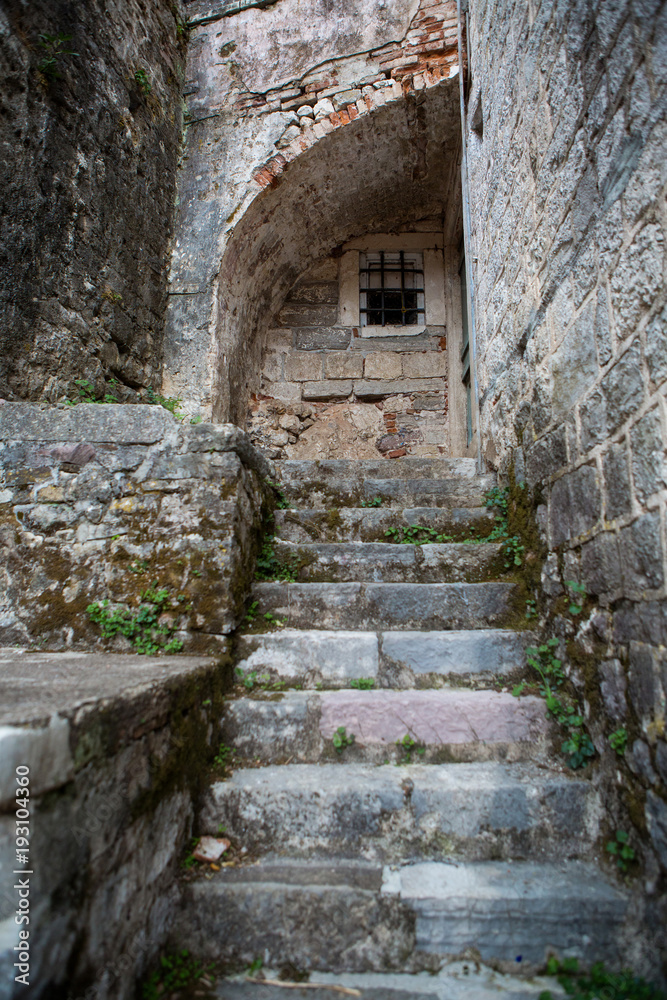 old stone stairs covered with moss
