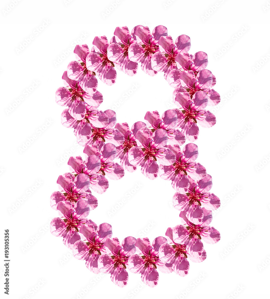 Number 8 from pink peach flowers alphabet isolated on white background,