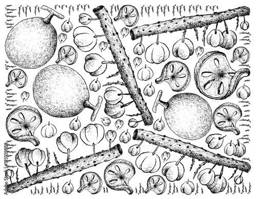 Hand Drawn Background of Bael and Otaheite Gooseberry Fruits