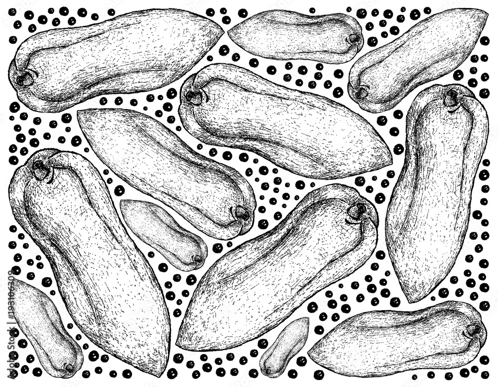 Obraz premium Hand Drawn Background of Fresh Papaya Fruits