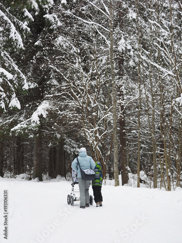 woman with a baby stroller in the forest. winter