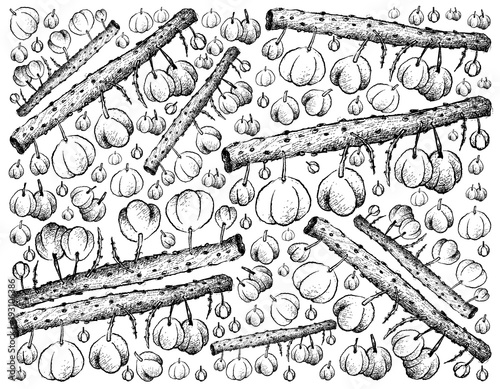 Hand Drawn Background of Fresh Otaheite Gooseberries
