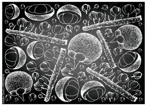 Hand Drawn of Otaheite Gooseberry and Mangosteen on Chalkboard
