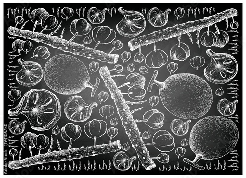 Hand Drawn of Bael and Otaheite Gooseberry Fruits on Chalkboard