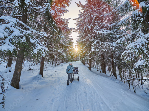woman with a baby stroller in the forest. winter