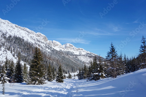 Mountain hiking trail from Hala Kondratowa to Kopa Kondracka and Giewont in winter, Zakopane, Tatry, Poland