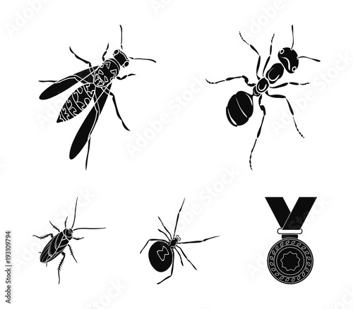 An insect arthropod, an osa, a spider, a cockroach. Insects set collection icons in black style vector symbol stock isometric illustration web.