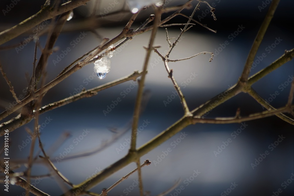 Snow drip Snow drip