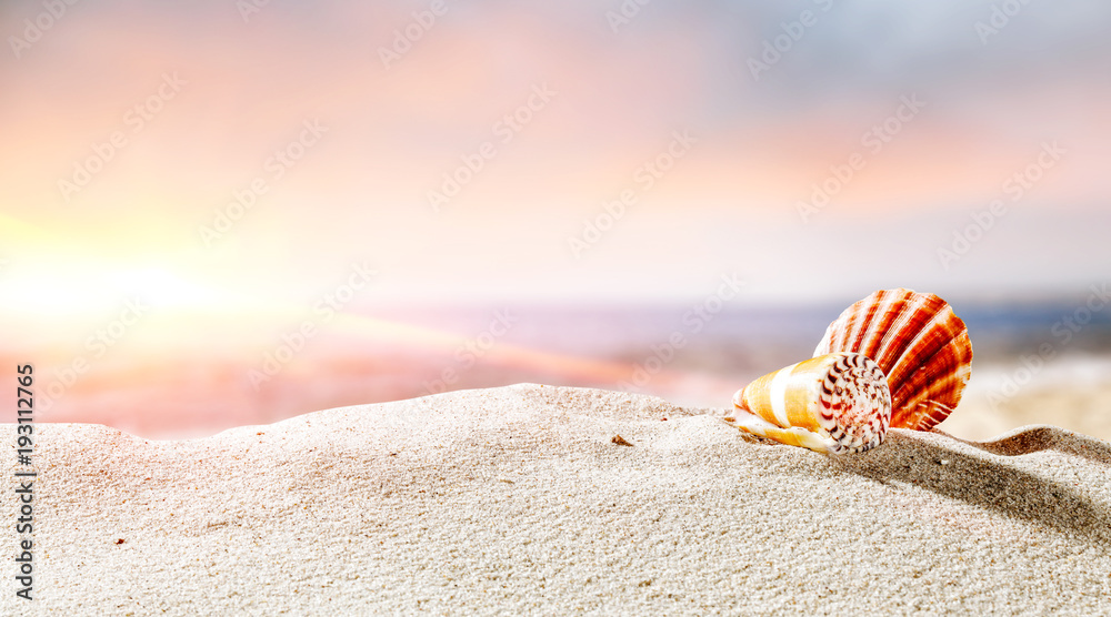 Shell on sand and free space for your decoration. Shell on sand and free space for your decoration.