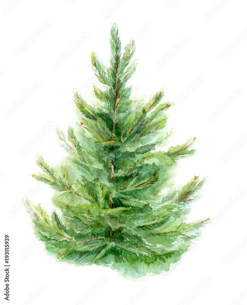 Element of watercolor fir-tree design for cards, posters, Christmas cards. Isolated background.