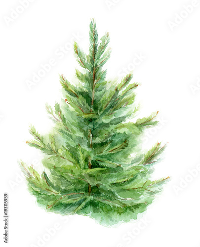 Element of watercolor fir-tree design for cards  posters  Christmas cards. Isolated background.
