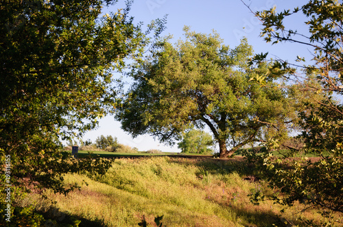 Santa Clarita