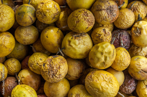 Yellow passionfruit withered background, flavicarpa Passiflora edulis photo