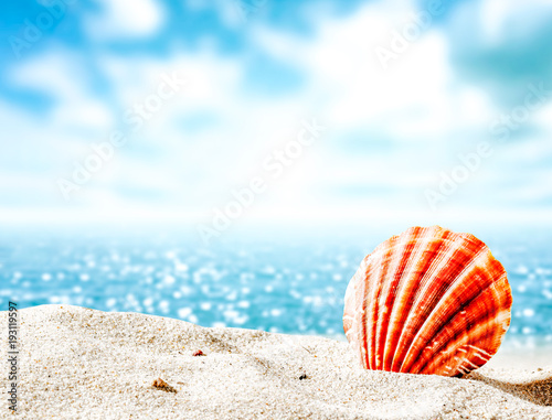 Sea and shell on sand 