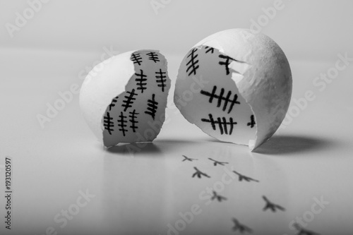 cracked egg