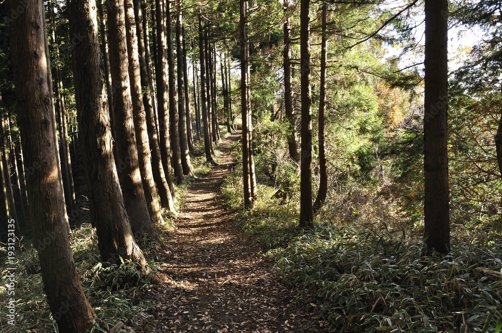 山道 山道