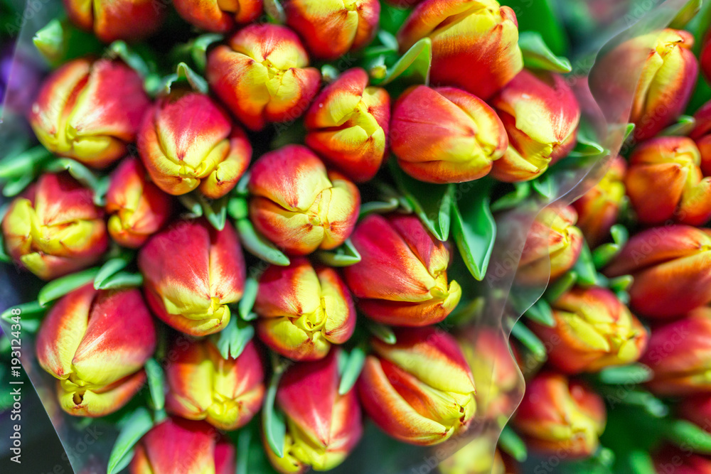 Bunch of many beautiful fresh orange tulips. Wholesale and retail flower store. Flower shop or market. Florist service concept. Floristy for wedding. Top view Bunch of many beautiful fresh orange tulips. Wholesale and retail flower store. Flower shop or market. Florist service concept. Floristy for wedding. Top view