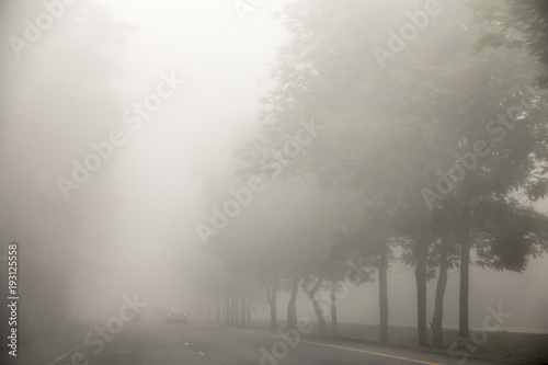 Blurred hard foggy road with detail of car light, travel in winter, car or dangerous winter transportation concept.