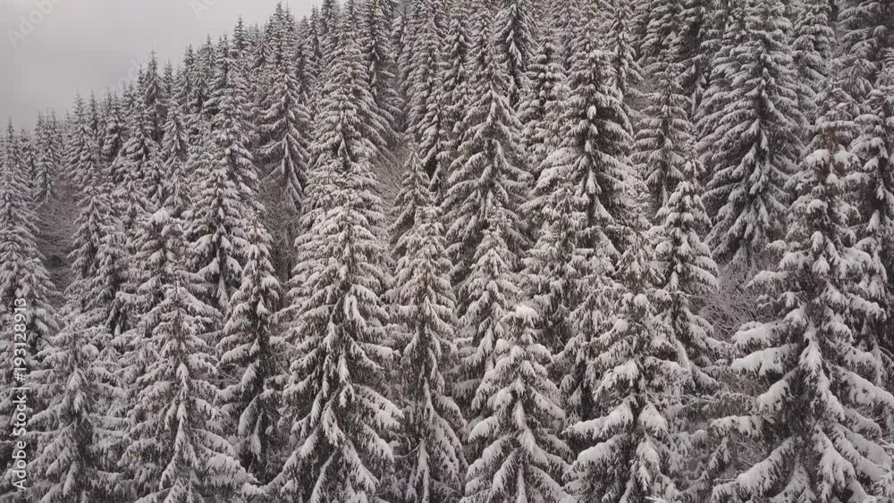 Aerial view. Mountains with trees covered with snow in winter. Winter landscape. Snowing in nature Aerial view. Mountains with trees covered with snow in winter. Winter landscape. Snowing in nature