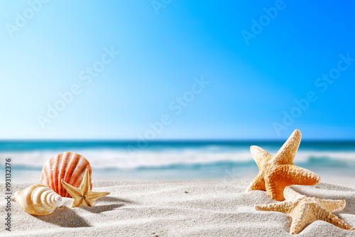 Summer background of free space for your decoration 
