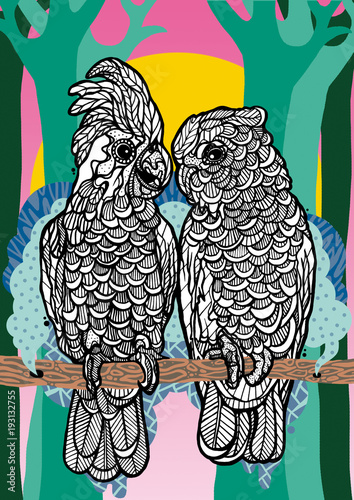 Two Parrots with bold and graphic elements photo