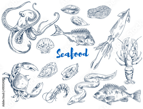 Exotic Seafood Monochrome Sketch Illustrations Set