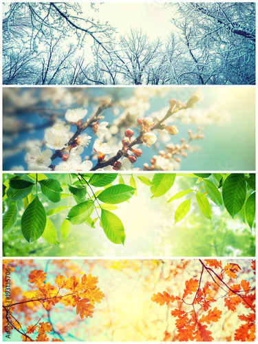 Four seasons. A pictures that shows four different pictures representing the four seasons: Spring, summer, autumn and winter