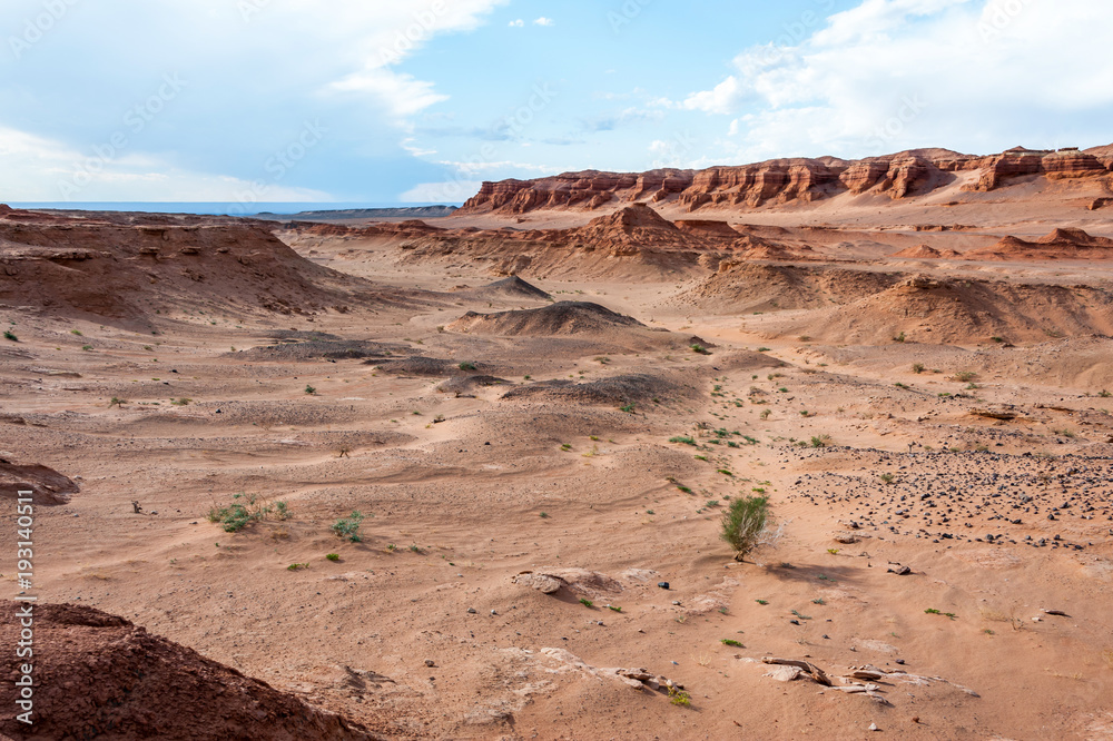 Fototapeta premium Монголия. Пустыня Гоби. Урочище Хермен-Цав.