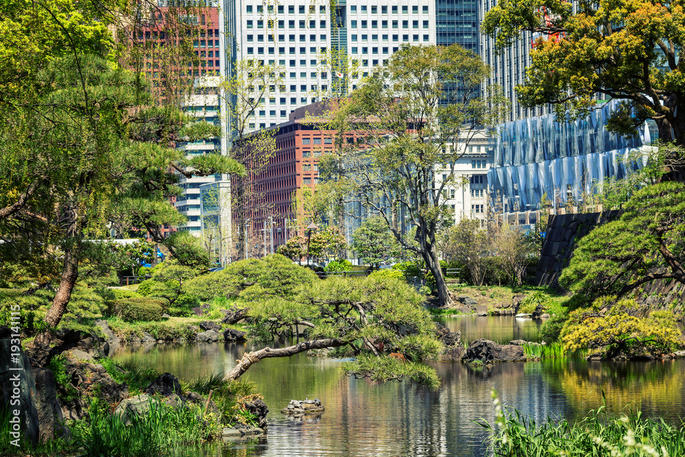Beautiful landscape in the urban Japanese park Beautiful landscape in the urban Japanese park