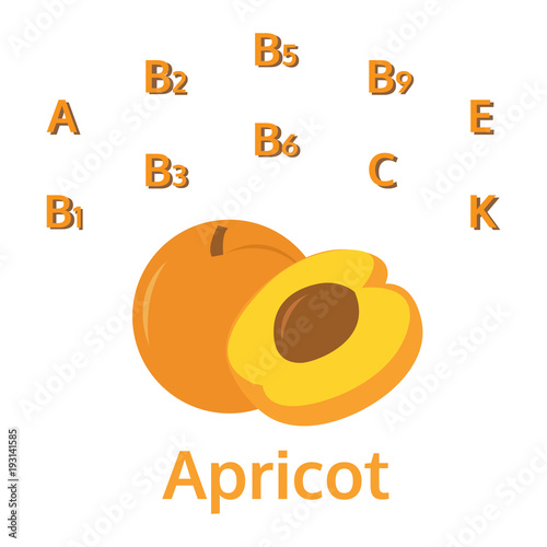 Vitamins are in apricot, A, B1, B2, B3, B5, B6, B9, C, E, K, infographic fruit vector illustration