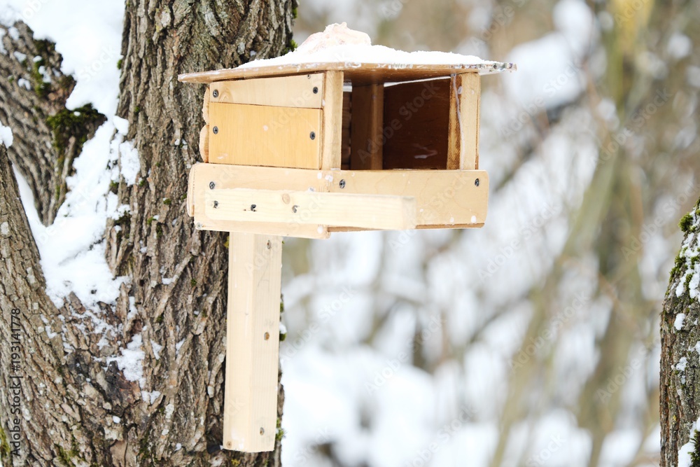 Naklejka premium Wooden feeder on the tree for birds in the forest