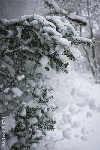 falender schnee