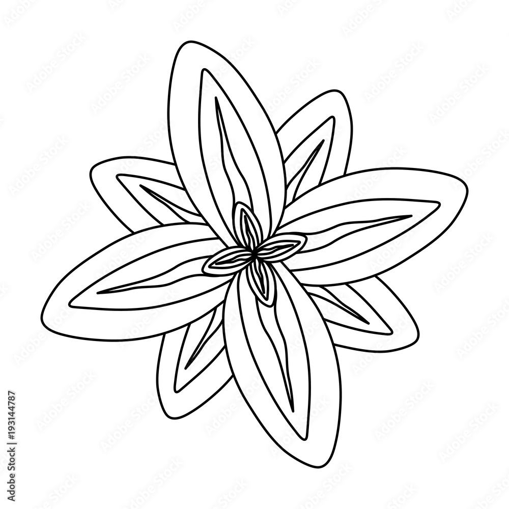 floral vector illustration floral vector illustration