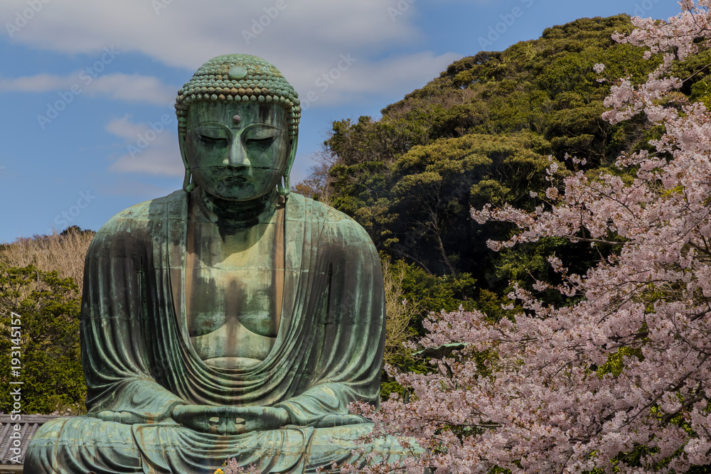 The Great Buddha in Kamakura Japan.The foreground is cherry blossoms.Located in Kamakura, Kanagawa Prefecture Japan. The Great Buddha in Kamakura Japan.The foreground is cherry blossoms.Located in Kamakura, Kanagawa Prefecture Japan.