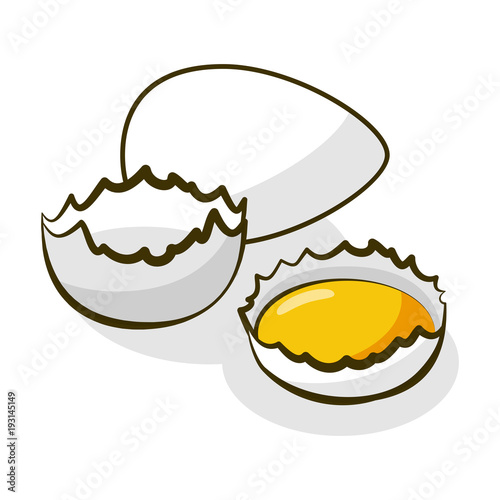 Eggs. Yolk in broken eggshell and protein hand drawing illustration. A natural product is a sketch.