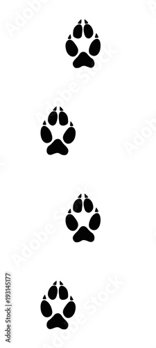 Wolf tracks. Typical footprints of wolves - isolated black icon vector illustration on white background.
