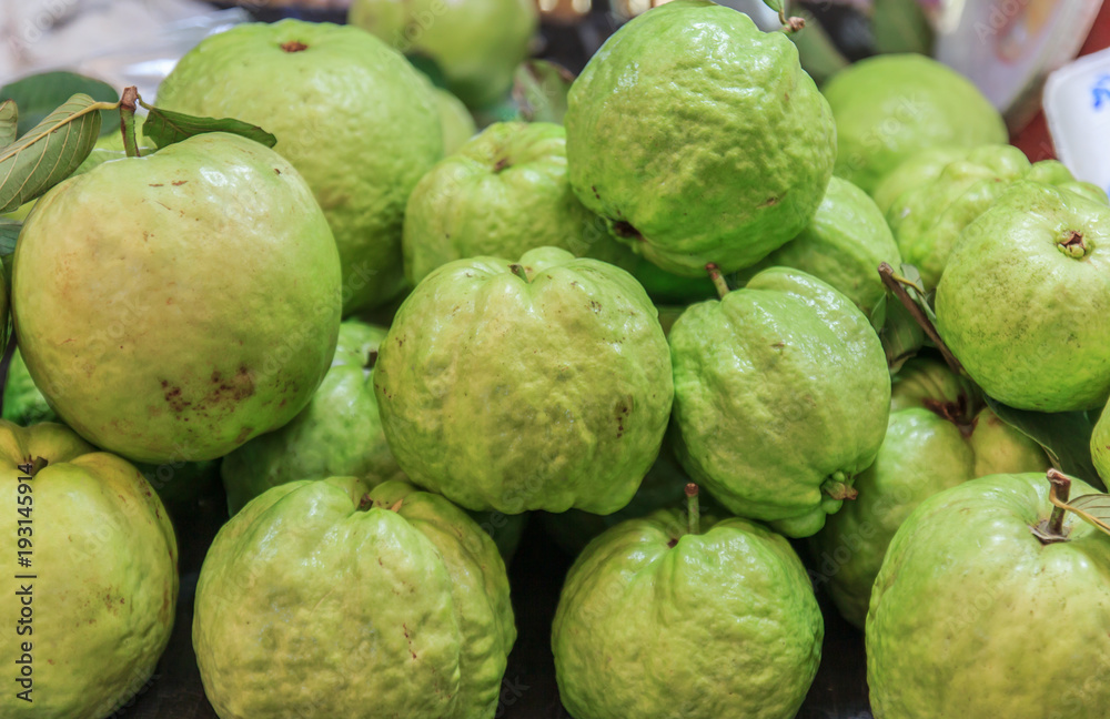Many fresh guava fruit with selective for sale
Many fresh guava fruit with selective for sale
