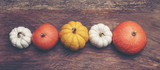 colorful pumpkin on wooden background