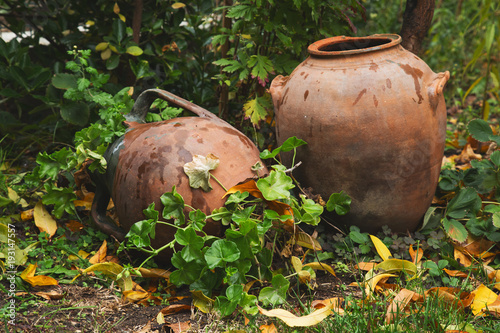 Garden decoration. Potted plant in old clay pot. Autumn season 