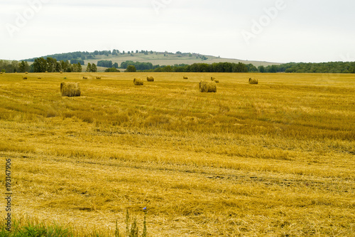 haymaking, harvesting in the fields and hills 