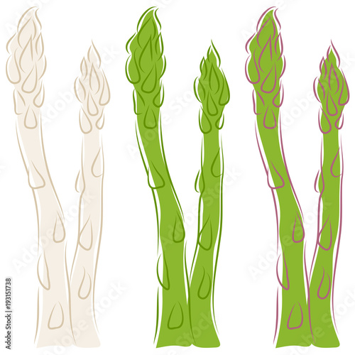 Asparagus Green/White/Purple