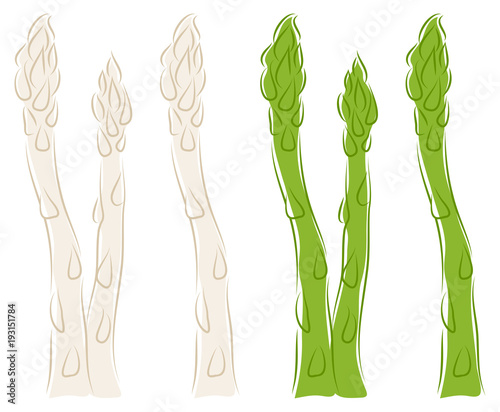 Asparagus White & Green Double/Single