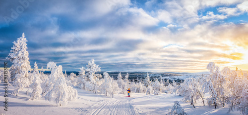 Cross-country skiing in Scandinavian winter wonderland at sunset