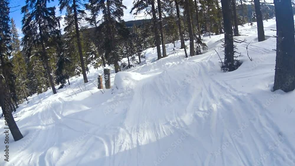 Child boy skiing through the forest. Adrenaline winter sport. Skiing between trees Child boy skiing through the forest. Adrenaline winter sport. Skiing between trees
