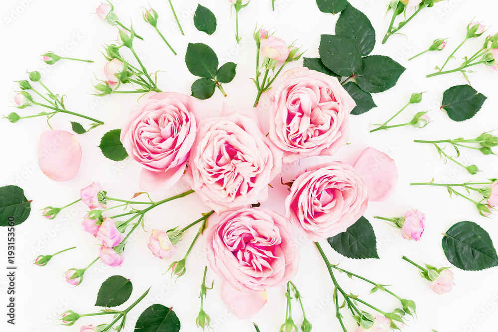 Fototapeta Stylowy kwiatowy wzór z róż, pąki i liść na białym tle. Płaskie lay, widok z góry.