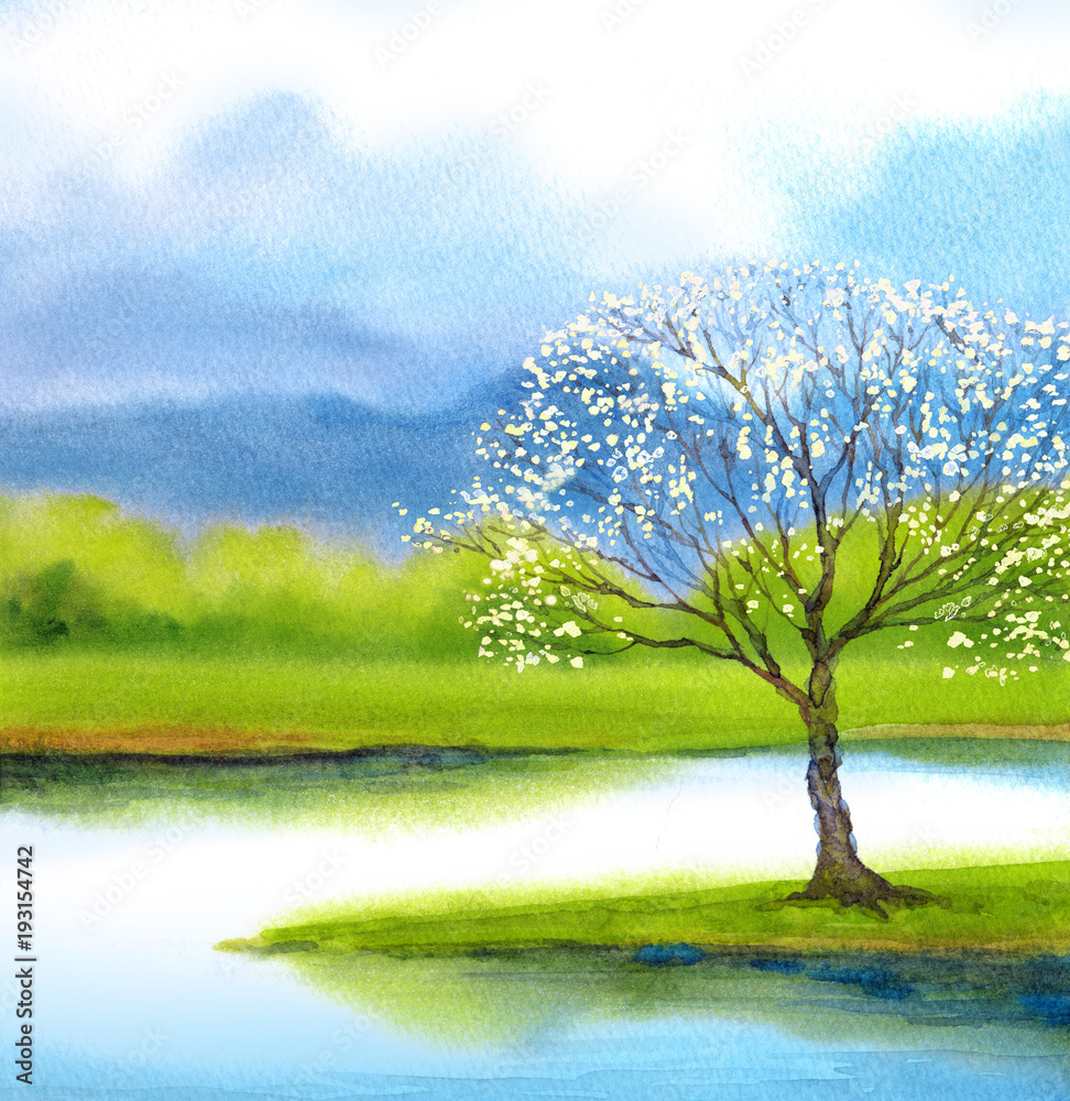 Obraz premium Watercolor landscape. Flowering tree by lake